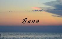 Branches Counseling Livonia Michigan